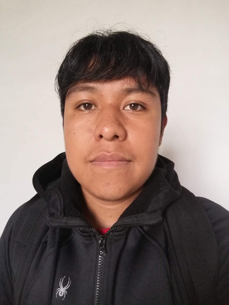 Perfil